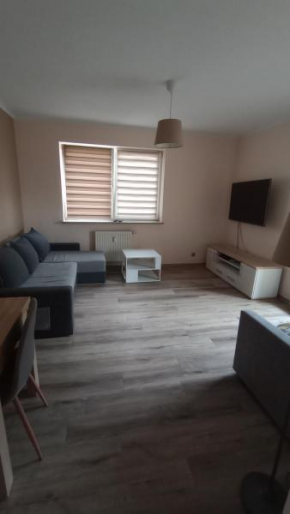 Odkryta Warszawa! - prywatne mieszkanie, samodzielne zameldowanie, private studio balcony, free wifi, smart tv 55